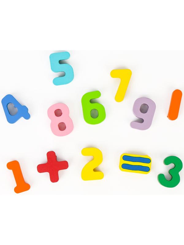 Большой развивающий набор для детей «Сортер. Окружающий мир и счёт»