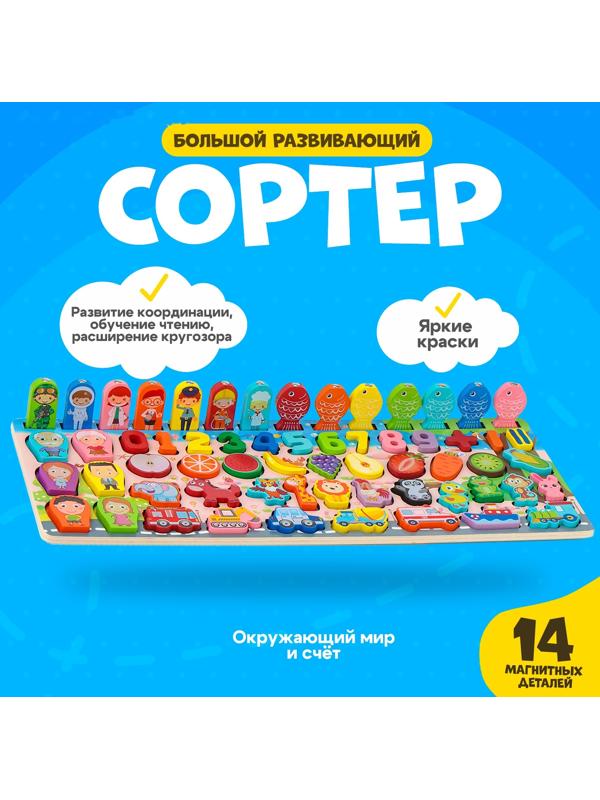 Большой развивающий набор для детей «Сортер. Окружающий мир и счёт»