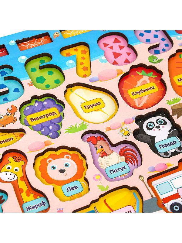 Большой развивающий набор для детей «Сортер. Окружающий мир и счёт»