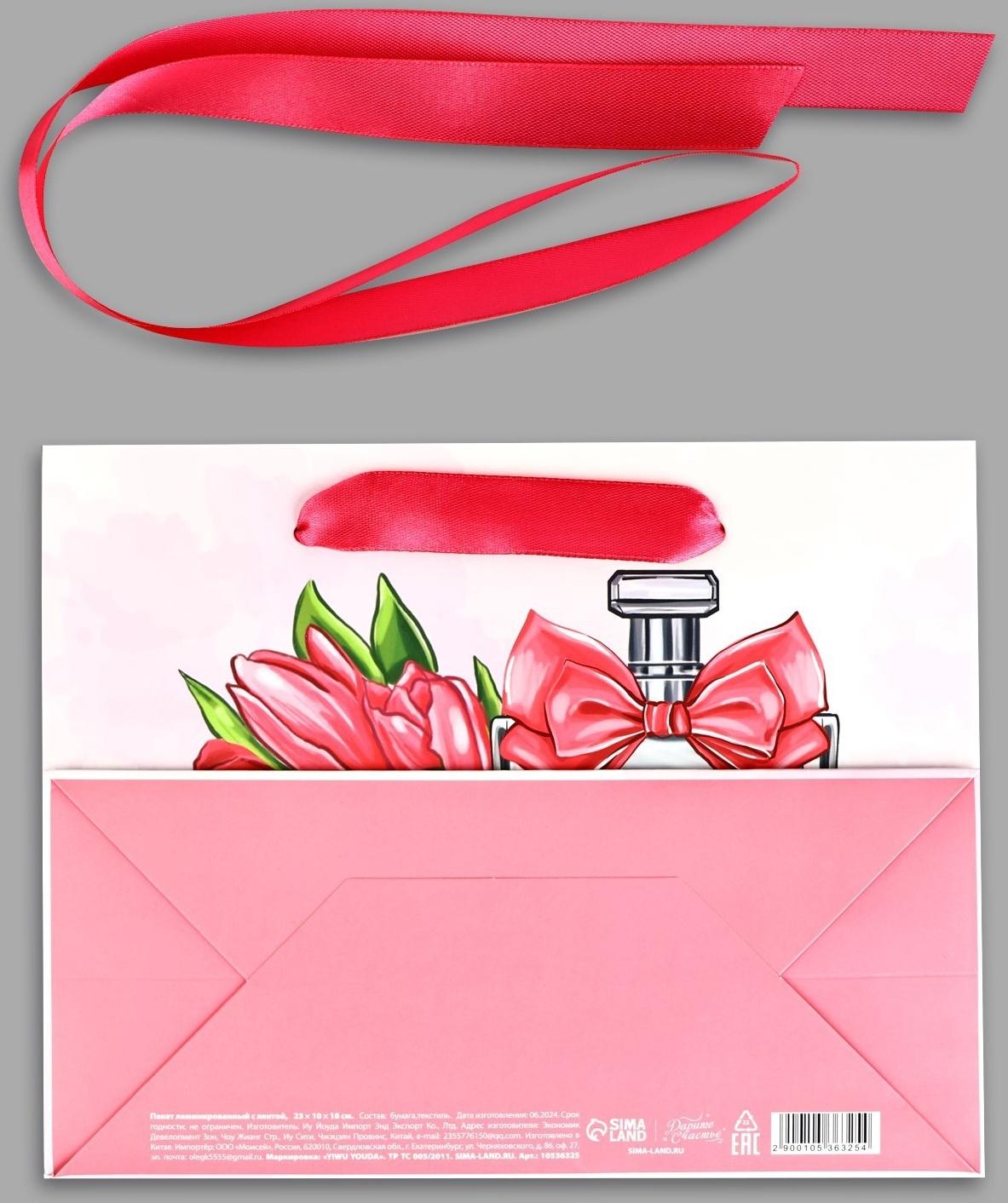 Пакет ламинированный с лентой «С Днём рождения», MS 23 × 10 × 18 см