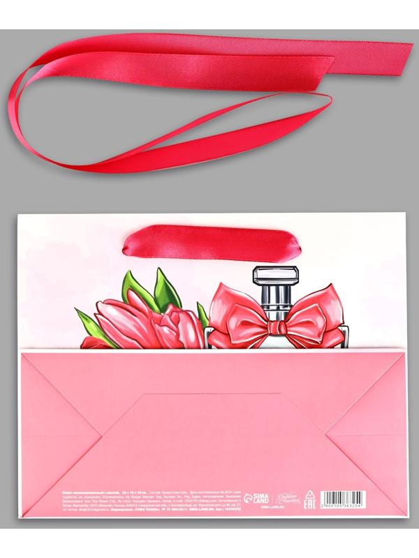 Пакет ламинированный с лентой «С Днём рождения», MS 23 × 10 × 18 см