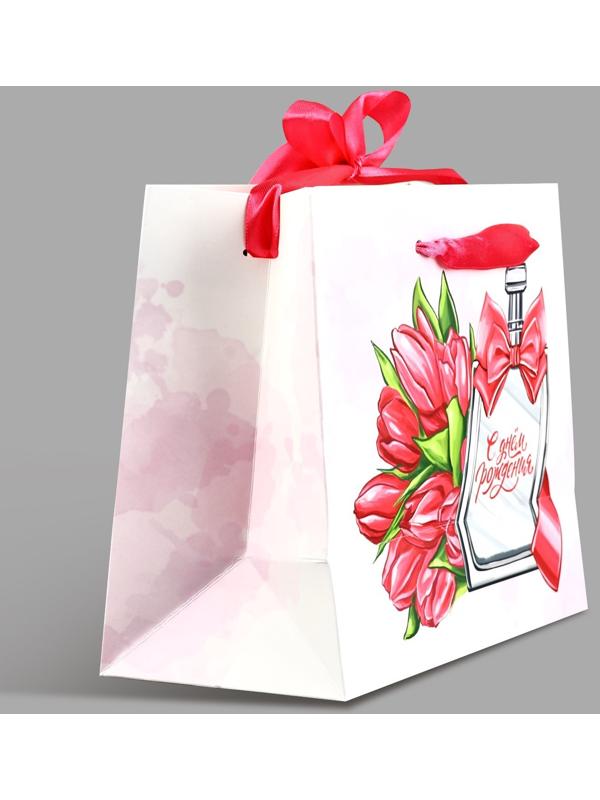 Пакет ламинированный с лентой «С Днём рождения», MS 23 × 10 × 18 см