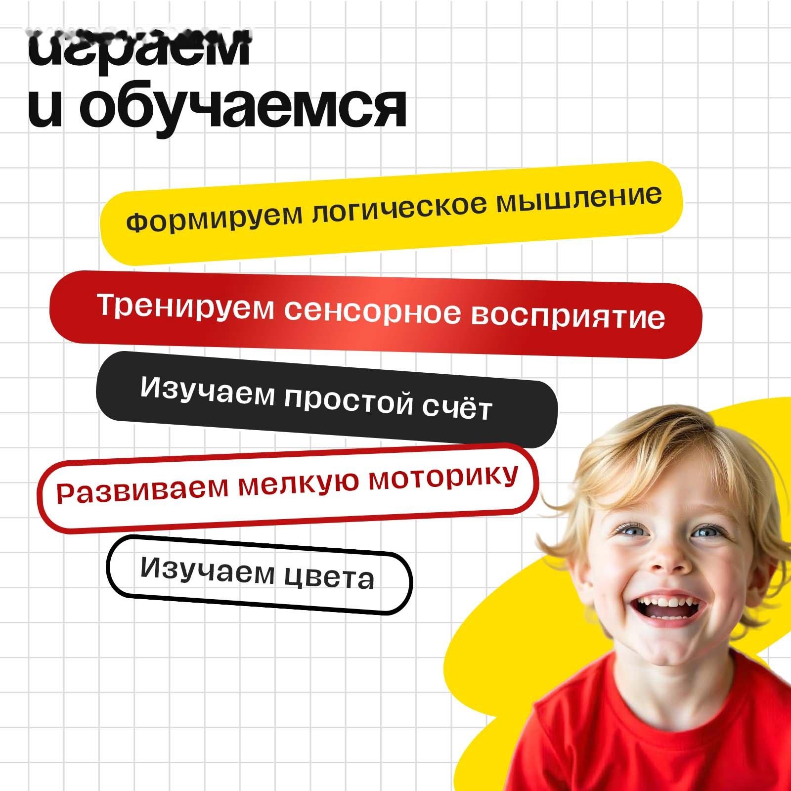 Развивающий набор «Сортер с шариками», по методике Монтессори, 3+