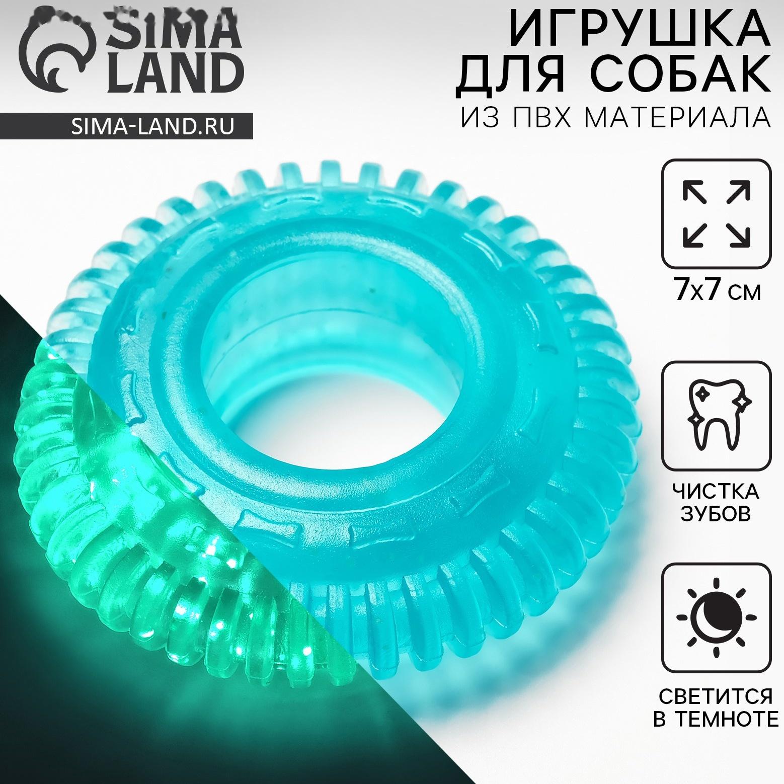 Игрушка для собак жевательная светящаяся в темноте «Шина», 7 х 7 см