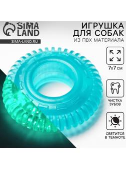 Игрушка для собак жевательная светящаяся в темноте «Шина», 7 х 7 см