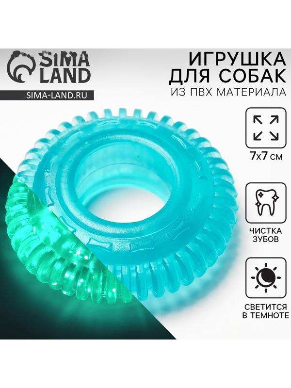 Игрушка для собак жевательная светящаяся в темноте «Шина», 7 х 7 см