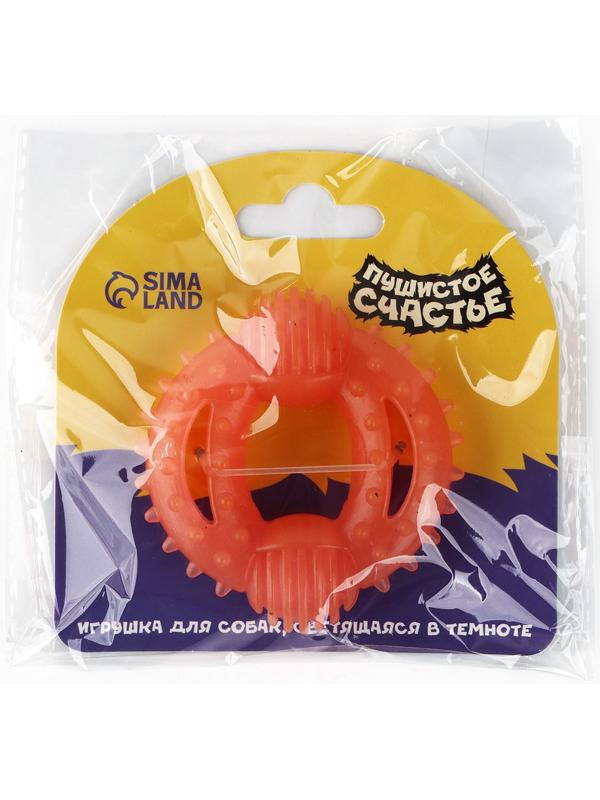 Игрушка для собак жевательная светящаяся в темноте «Шестеренка», 8 х 7.5 см