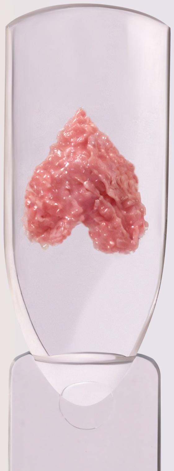 Гель для ногтей, гипсовый, фактурный, 8 мл, LED/UV, розовый