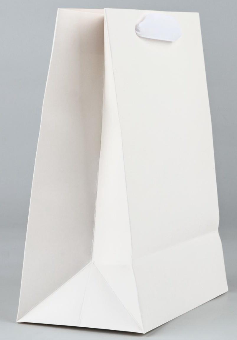 Пакет подарочный новогодний ламинированный «Снежинки», MS 18 х 23 х 10 см