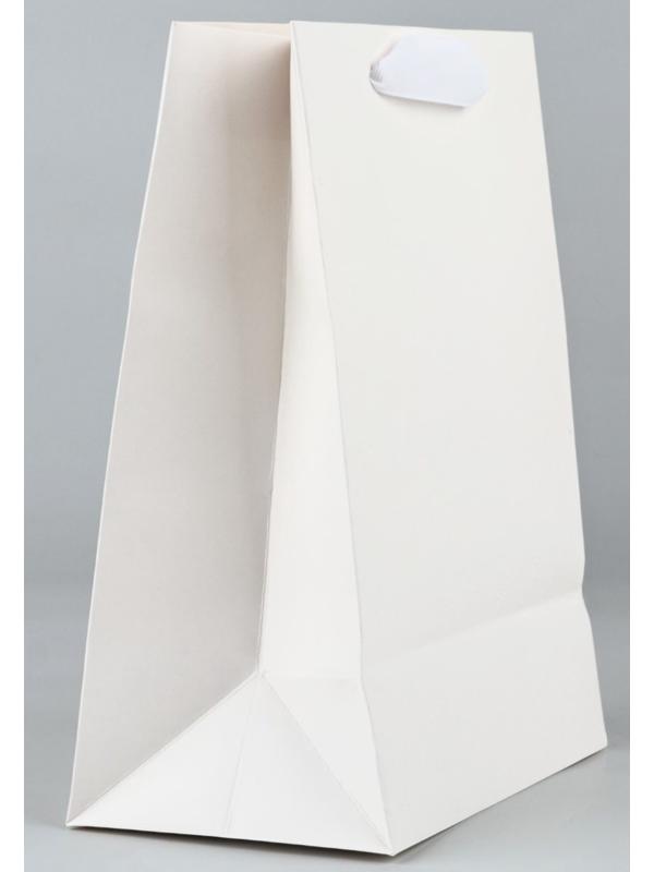 Пакет подарочный новогодний ламинированный «Снежинки», MS 18 х 23 х 10 см