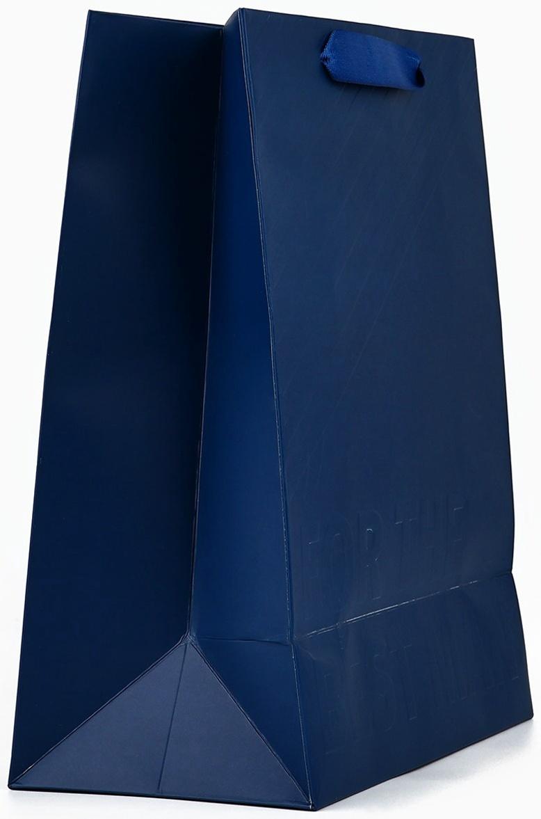 Пакет ламинированный вертикальный For the best man, ML 23 х 27 х 11.5 см