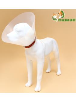 Ветеринарный воротник с креплением на ошейник, высота 20 см (без ошейника)