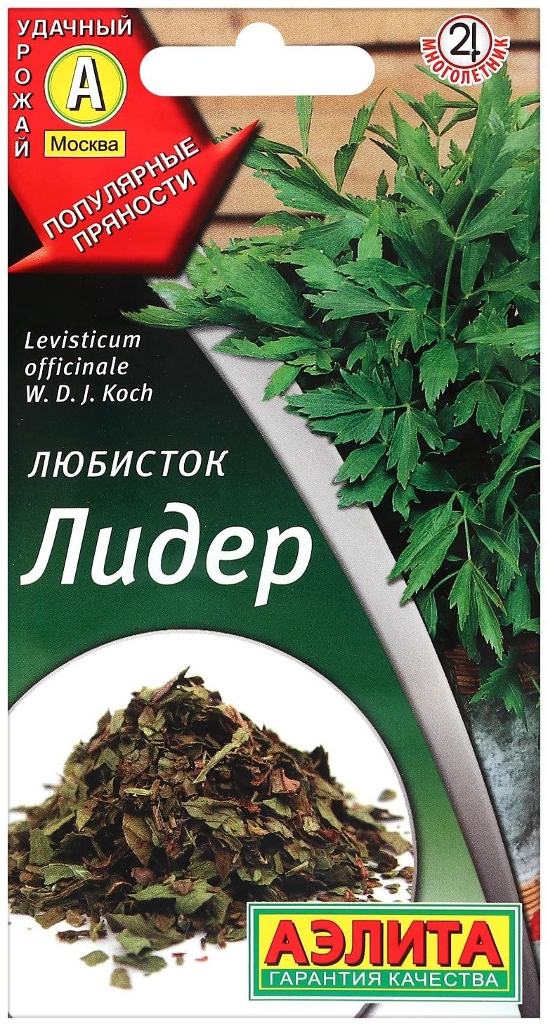 Семена Любисток 