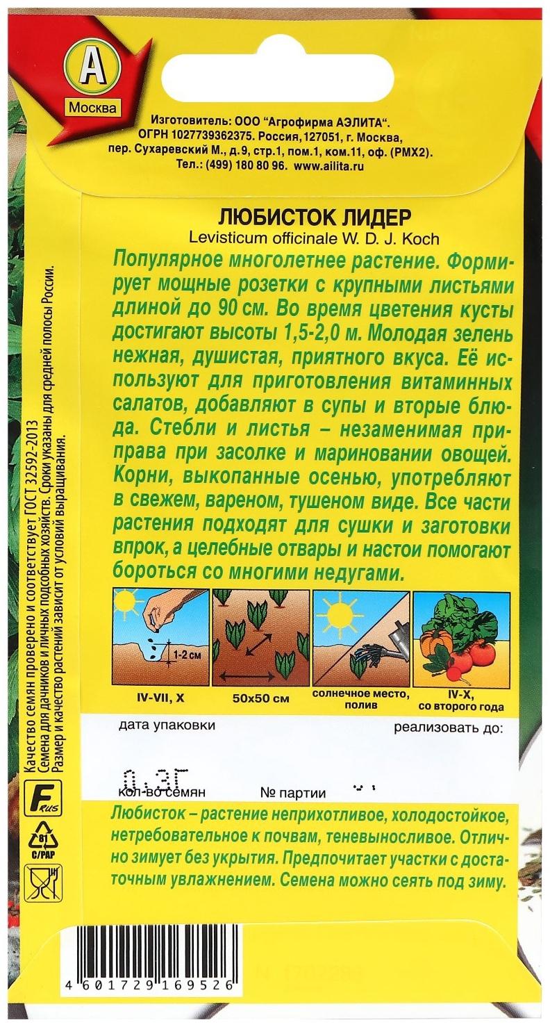 Семена Любисток 