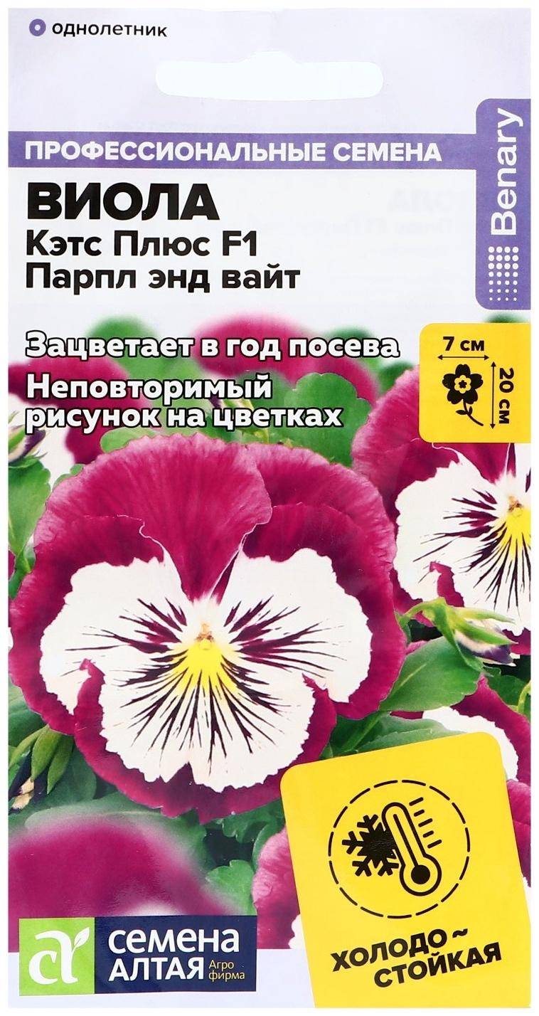 Семена цветов Виола Кэтс Плюс F1 Парпл энд Вайт, ц/п, 4 шт.