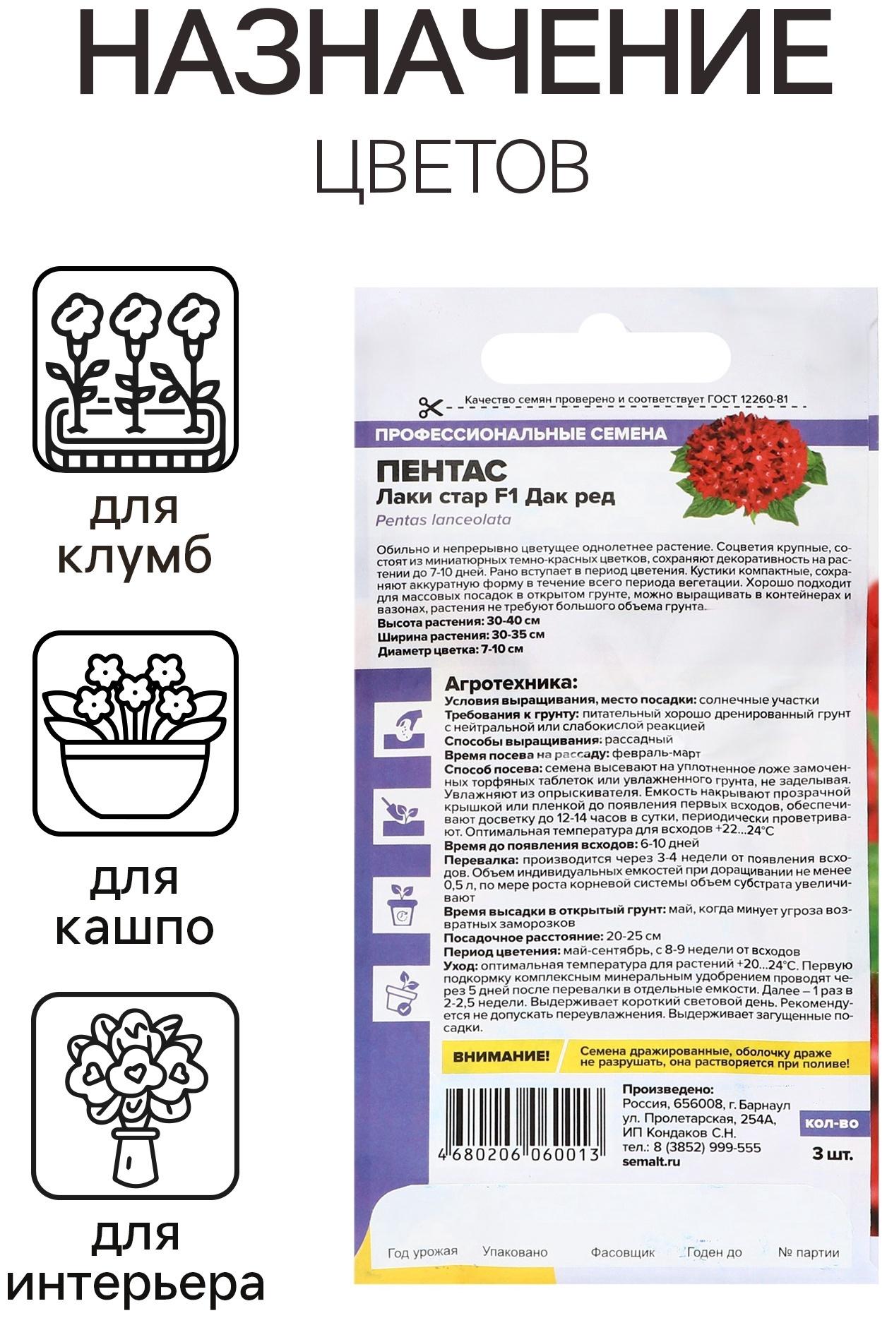 Семена цветов Пентас 