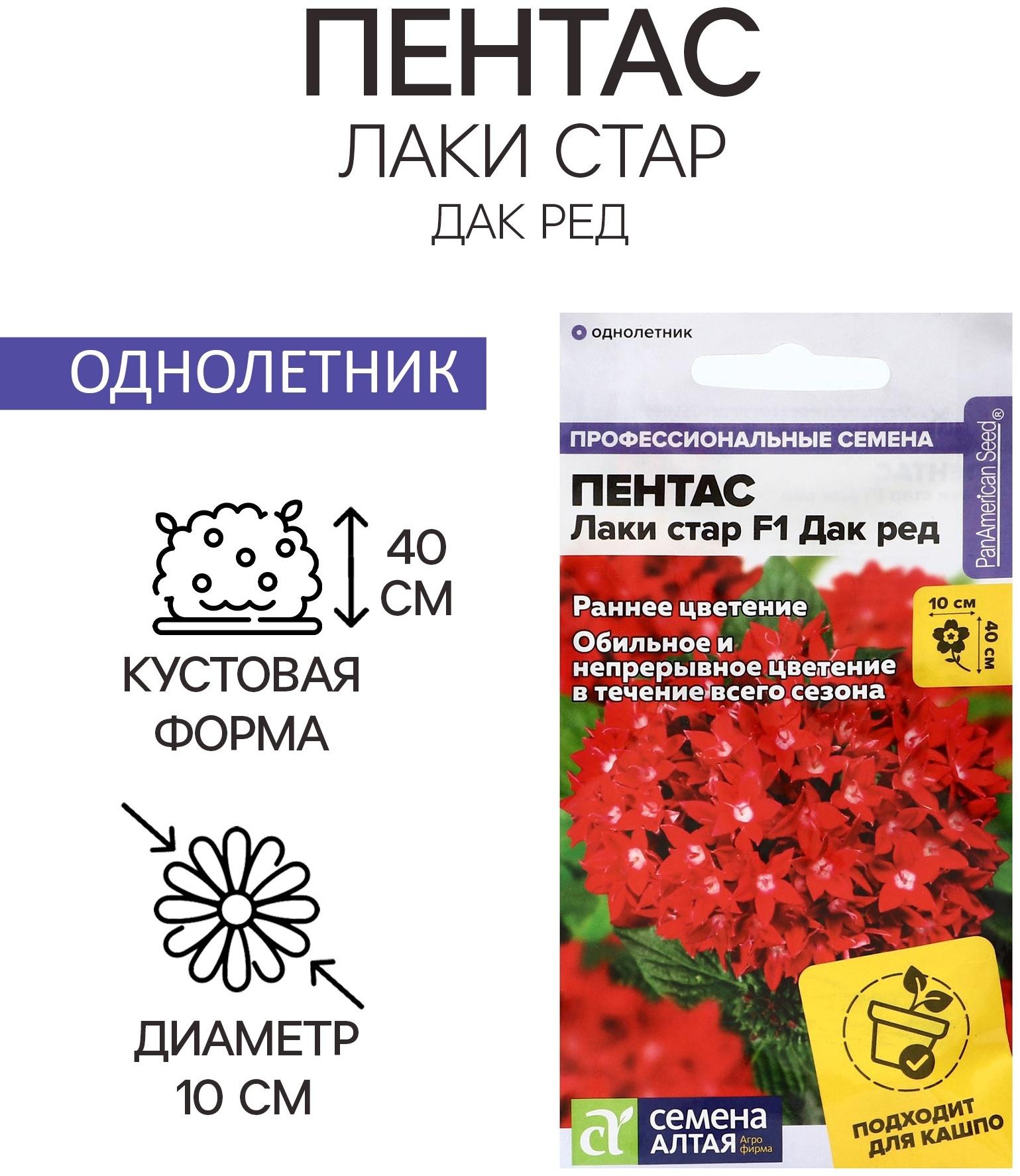 Семена цветов Пентас 