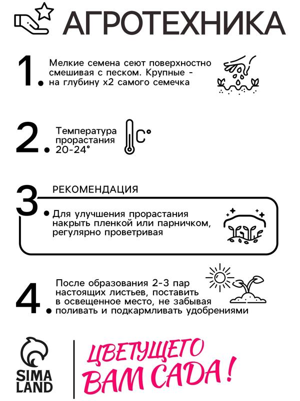 Семена цветов Пентас 