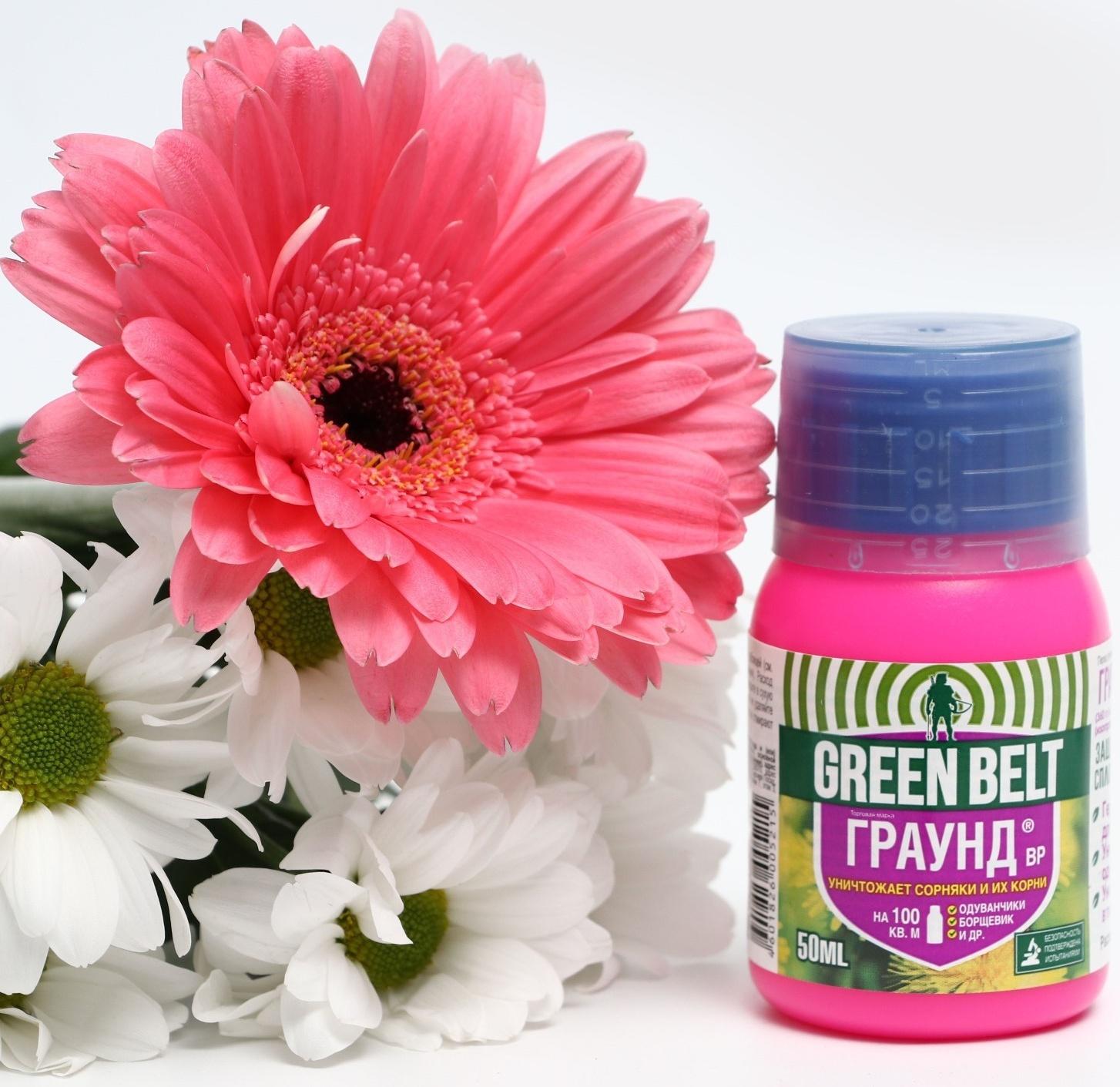 Средство от сорняков ГРАУНД, ВР, 50 мл