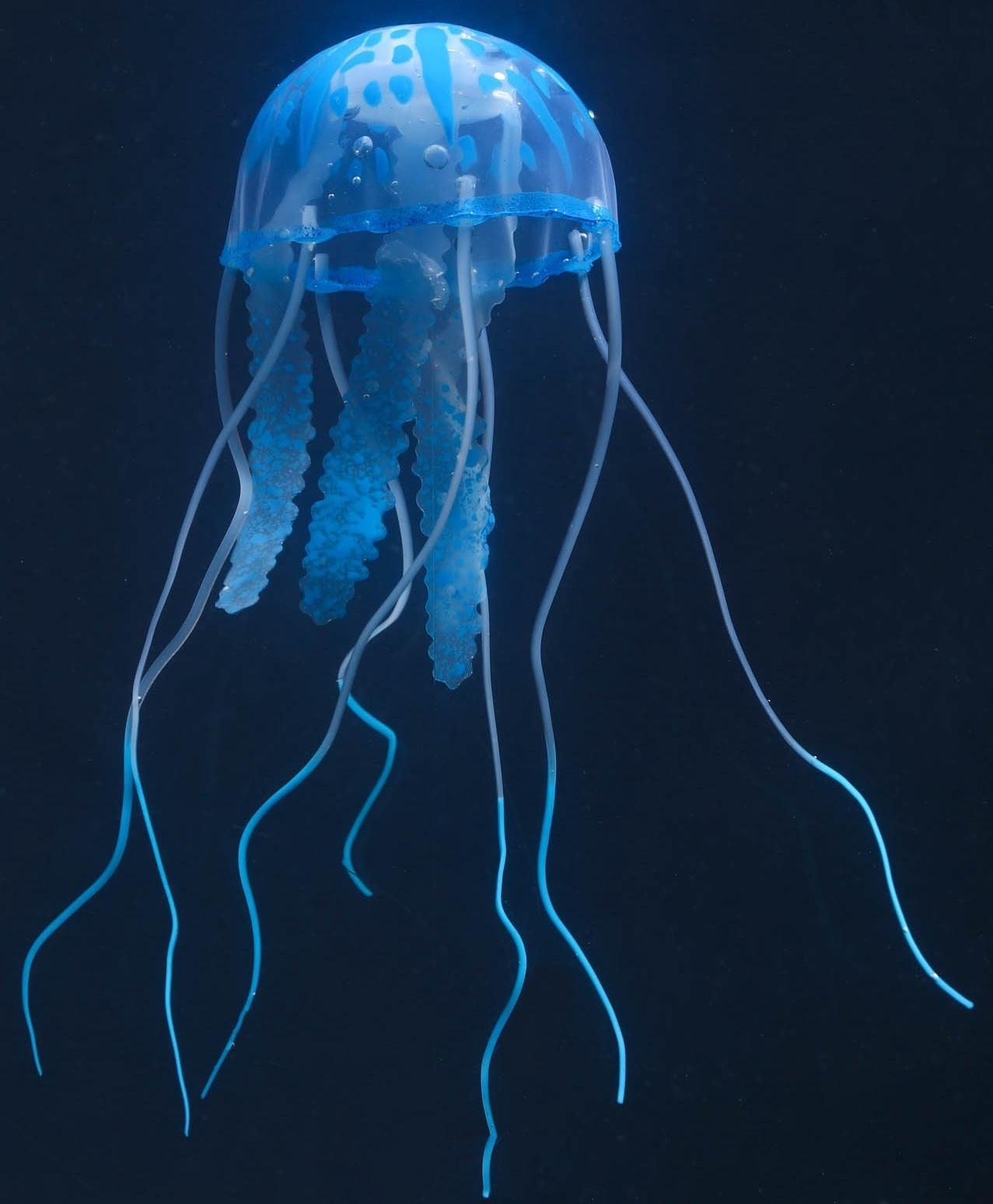 Декор для аквариума 