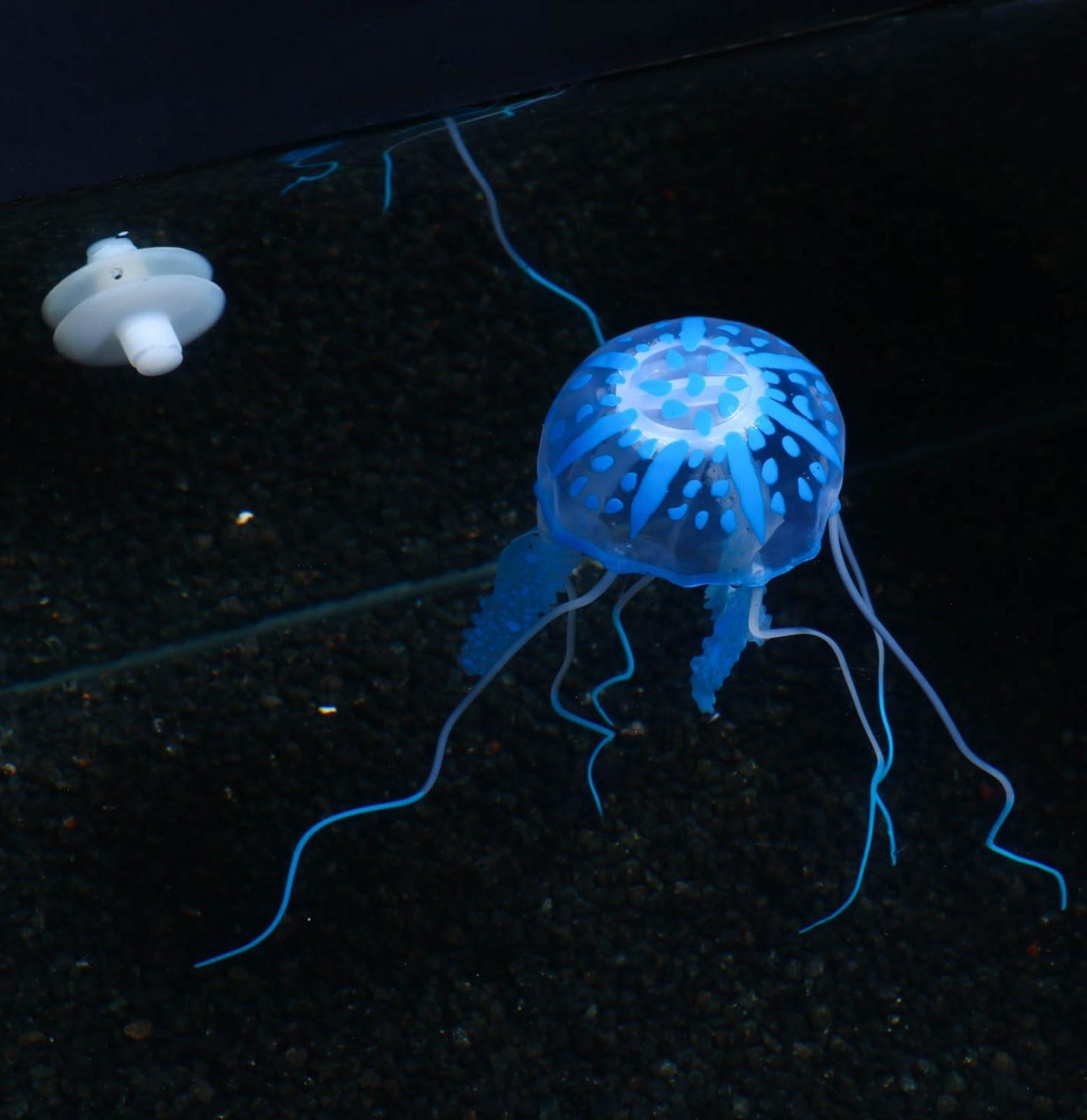 Декор для аквариума 