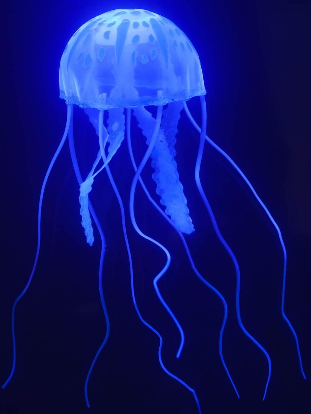 Декор для аквариума 