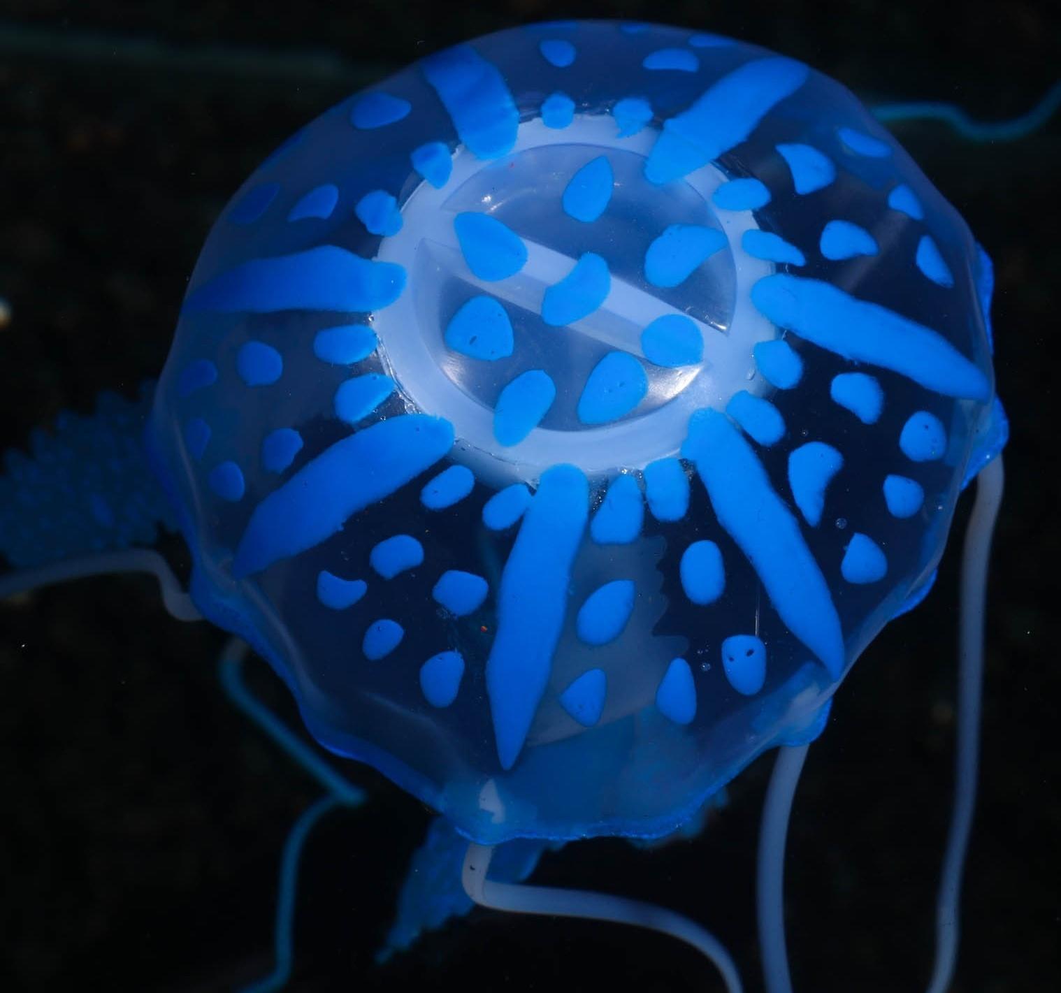 Декор для аквариума 