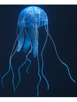 Декор для аквариума 