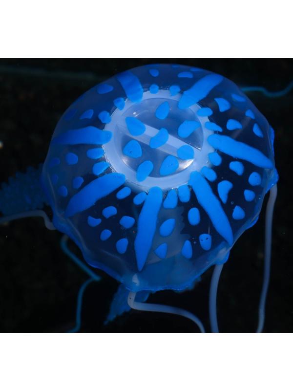 Декор для аквариума 