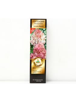 Гортензия метельчатая Люкс 