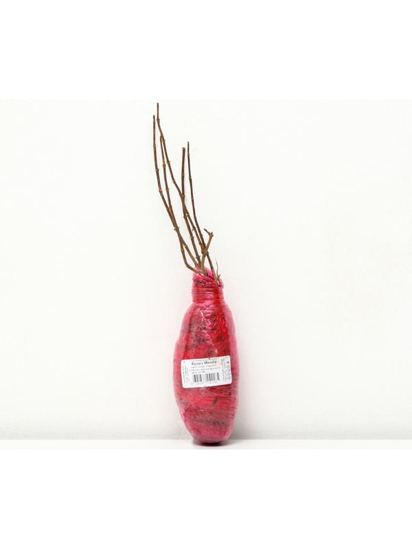 Гортензия метельчатая Люкс 