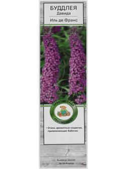Буддлея Давида 