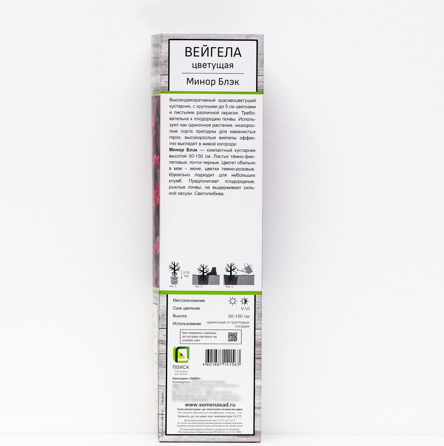 Вейгела цветущая 