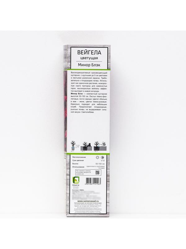 Вейгела цветущая 