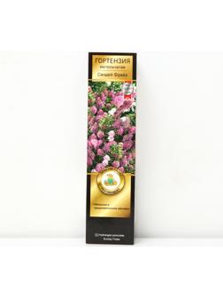 Гортензия метельчатая Люкс 