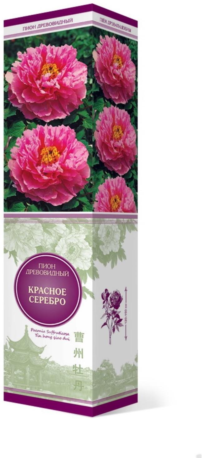 Пион древовидный (привитый на травянистый) 