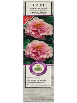 Пион древовидный 