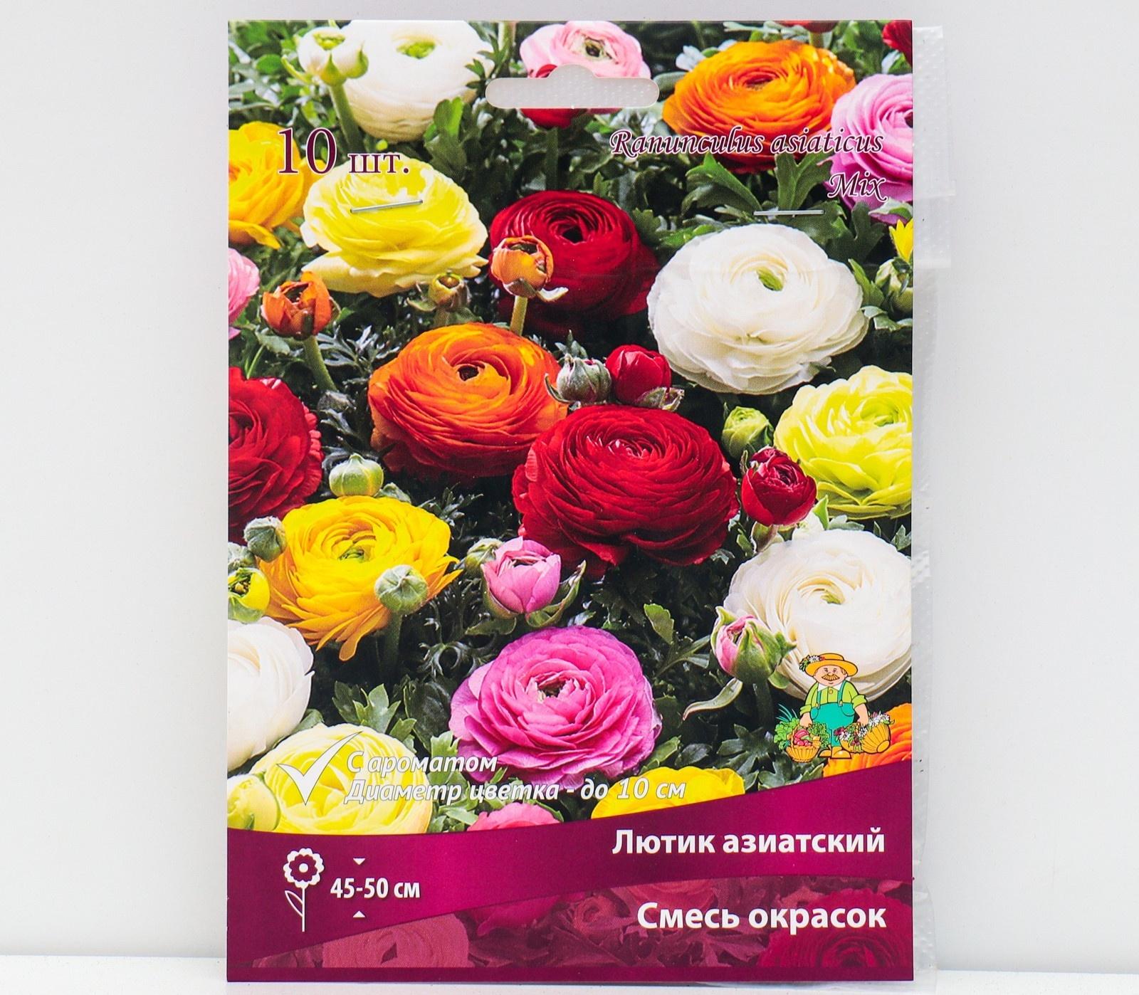 Лютик азиатский смесь окрасок, 10 шт, р-р 7/8, Весна 2025