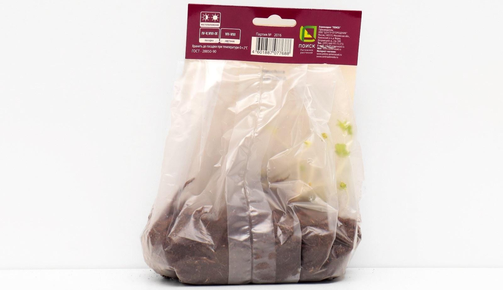 Гейхера (Хеухера) 