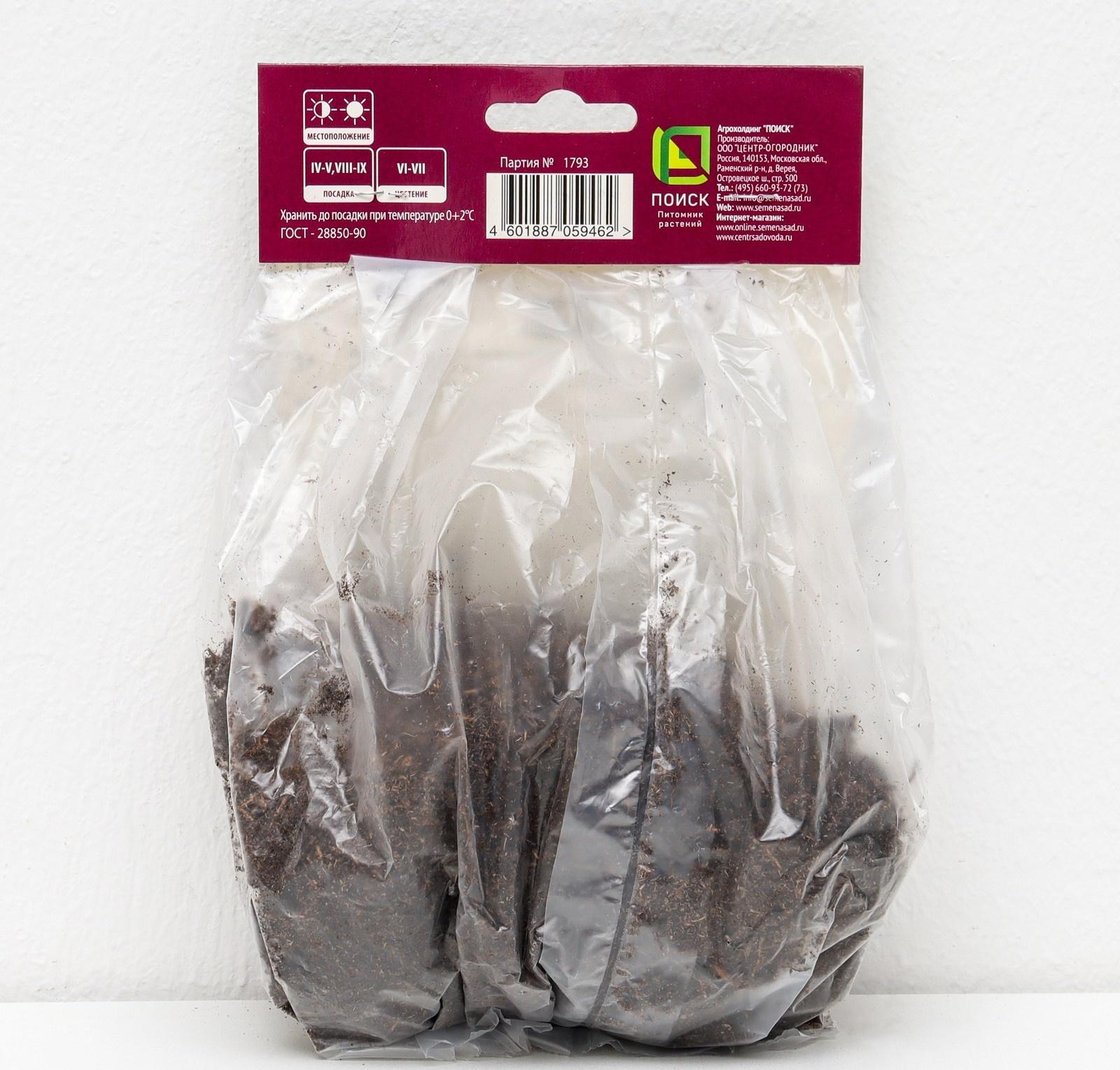 Гейхера (Хеухера) 