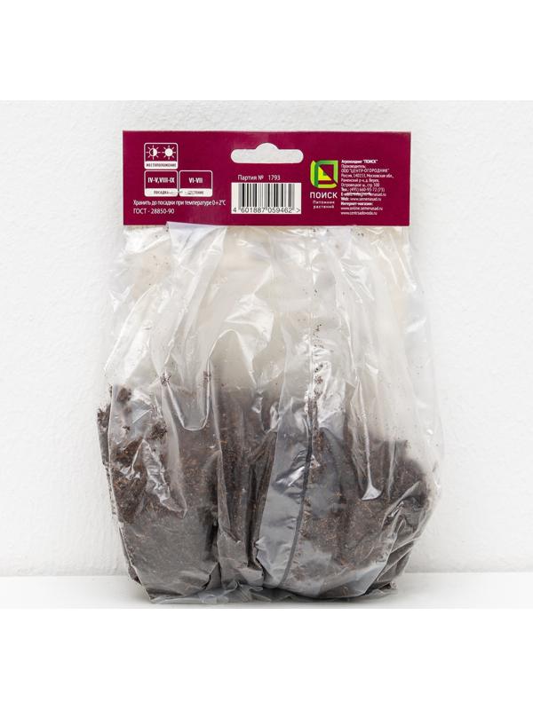 Гейхера (Хеухера) 