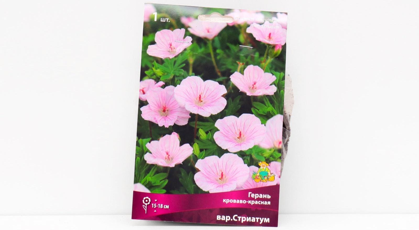 Герань кроваво-красная 