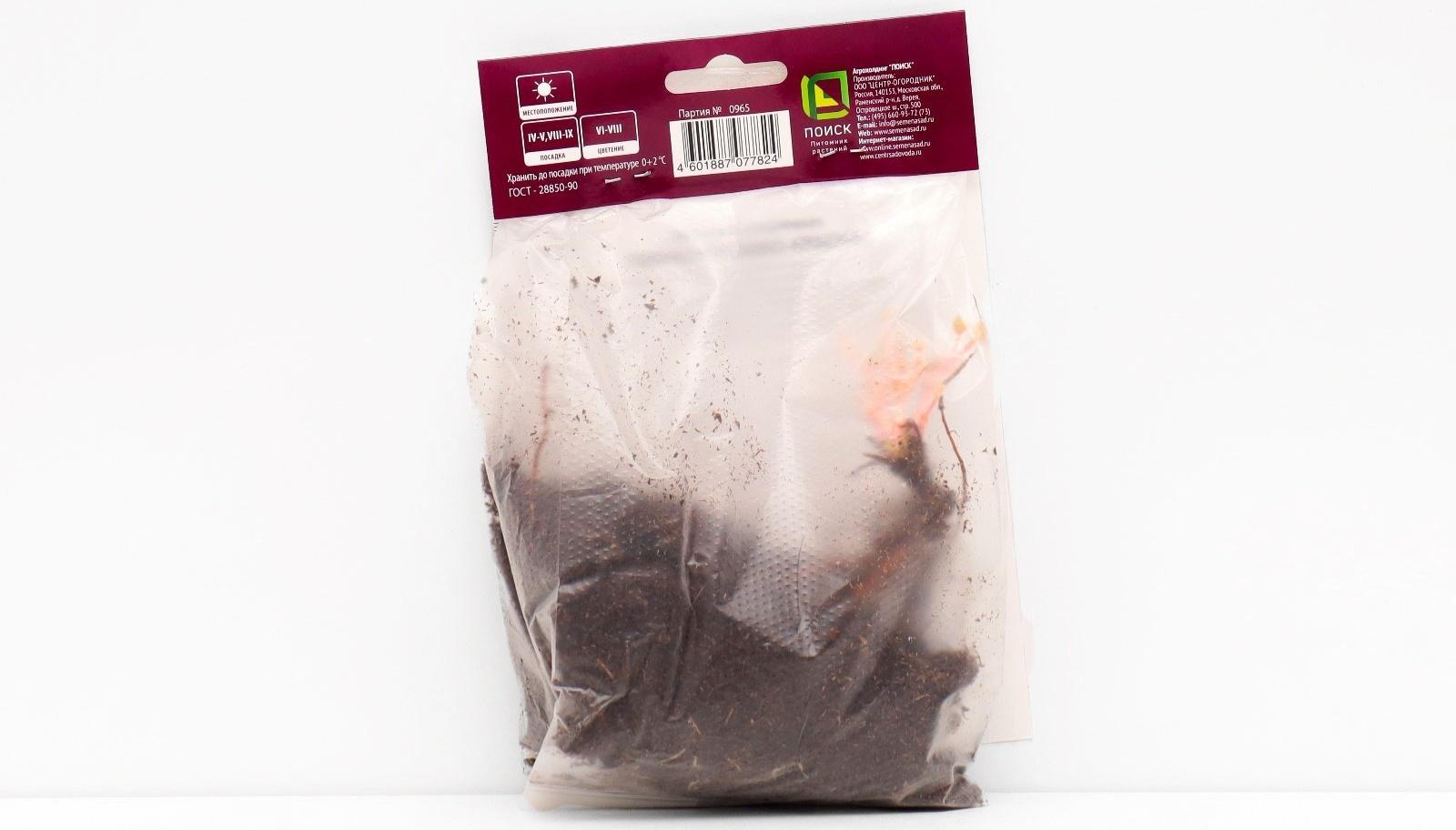 Герань кроваво-красная 