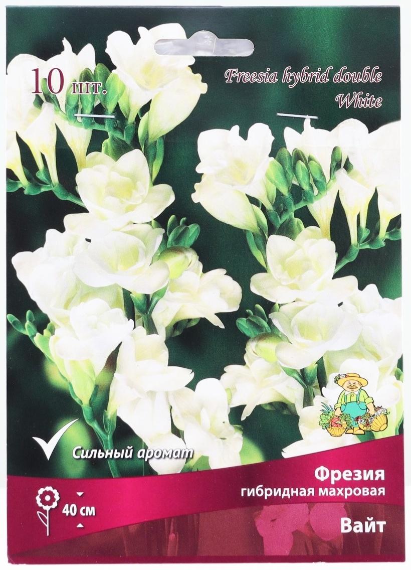 Фрезия гибридная махровая Вайт, р-р 5/6, 10 шт, Весна 2025