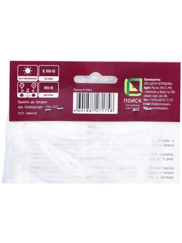 Фрезия гибридная махровая Вайт, р-р 5/6, 10 шт, Весна 2025