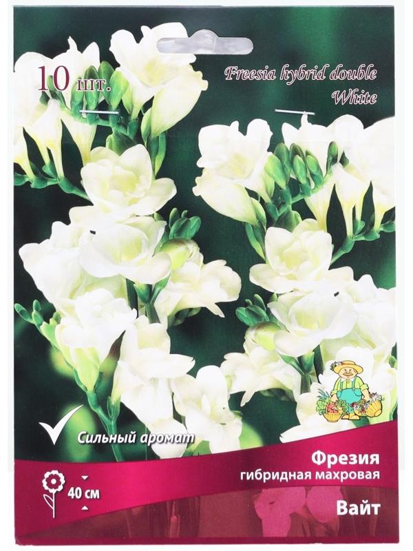 Фрезия гибридная махровая Вайт, р-р 5/6, 10 шт, Весна 2025