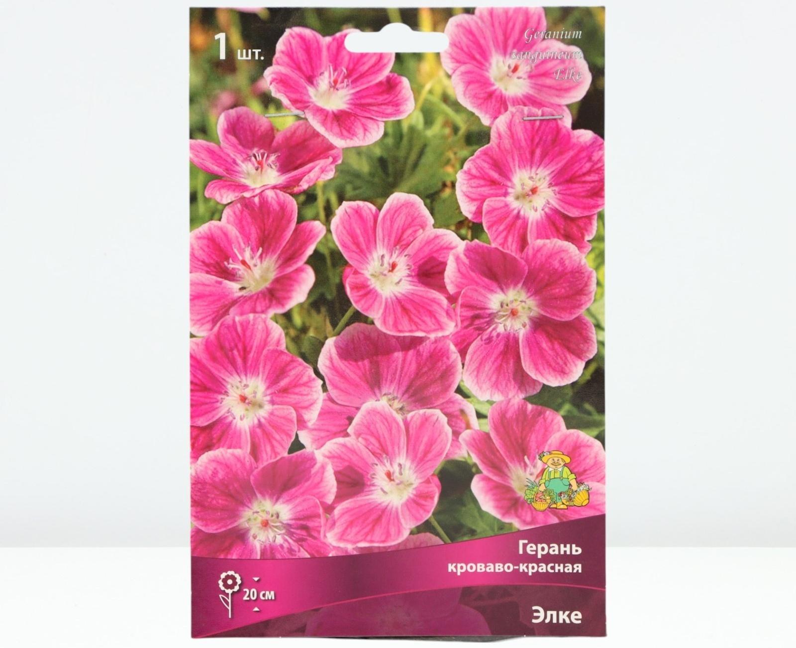 Герань кроваво-красная Элке, р-р I, 1 шт, Весна 2025