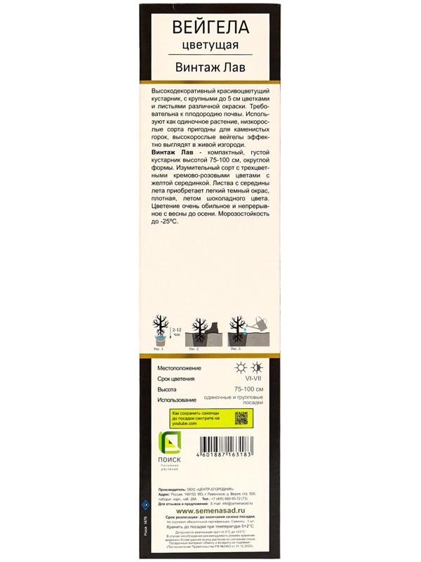 Вейгела цветущая Люкс 