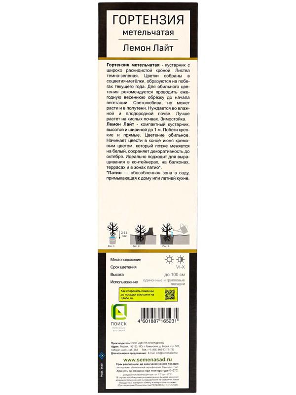 Гортензия метельчатая, H 50-100 