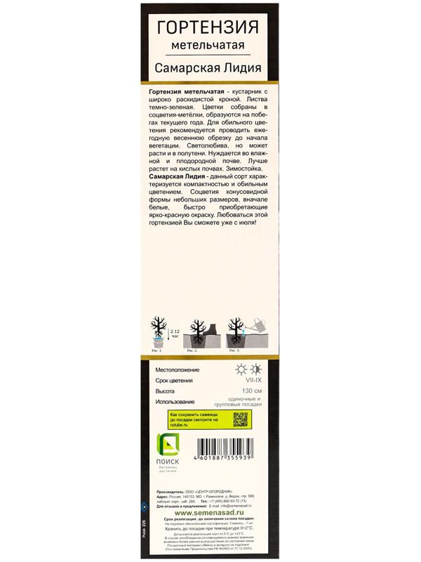 Гортензия метельчатая Люкс 